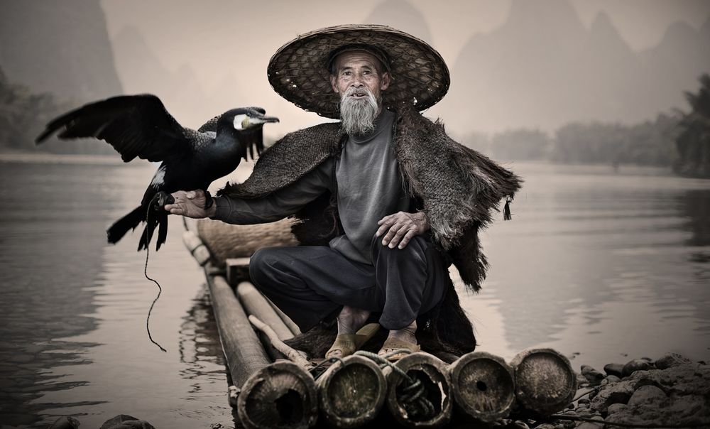 Обои для рабочего стола Старик китаец, сидя на плоту из бревен бамбука, держат на вытянутой руке баклана