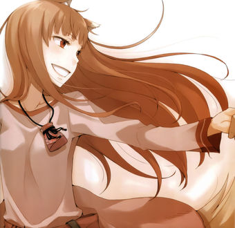 Обои на рабочий стол Horo / Хоро, из аниме Spice and Wolf / Волчица и пряности, art by Ayakura Juu