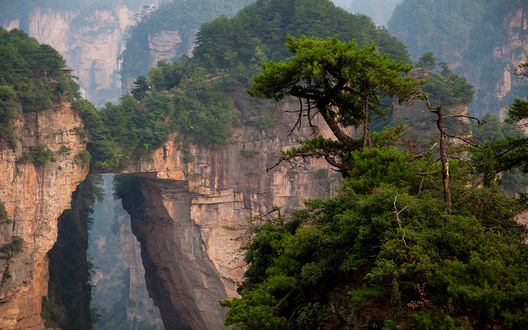 Обои на рабочий стол Лесной национальный парк Чжанцзяцзе / Zhangjiajie National Forest Park, провинция Хунань, Китай / Hunan Province, China