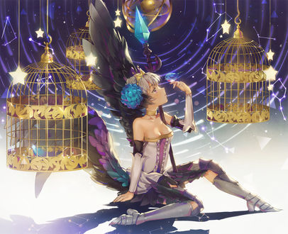 Обои на рабочий стол Gwendolyn / Гвендолин с птичкой на руке сидит среди клеток для птиц, из игры Odin Sphere, art by Dangmill