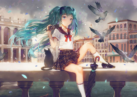 Обои на рабочий стол Vocaloid Hatsune Miku / Вокалоид Хатсуне Мику сидит с видеокамерой, рядом с ней кошка, art by Dangmill
