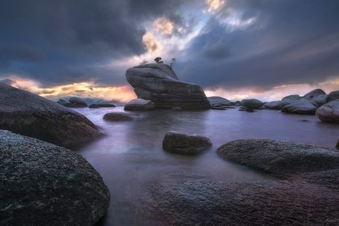 Обои на рабочий стол Bonsai Rocк, Lake Tahoe, California / Скала Бонсай, озеро Тахо, Калифорния, by Victor Carreiro