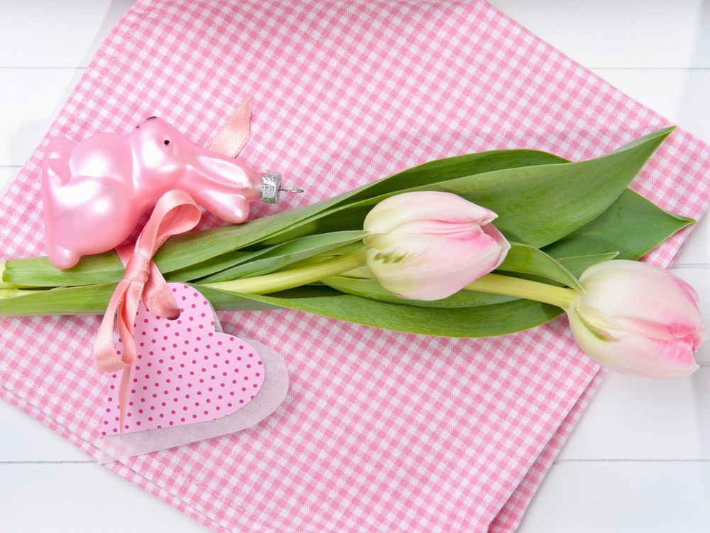 Обои для рабочего стола Два розовых тюльпана на клетчатой бумаге, рядом игрушка в виде кролика и бумажное сердце