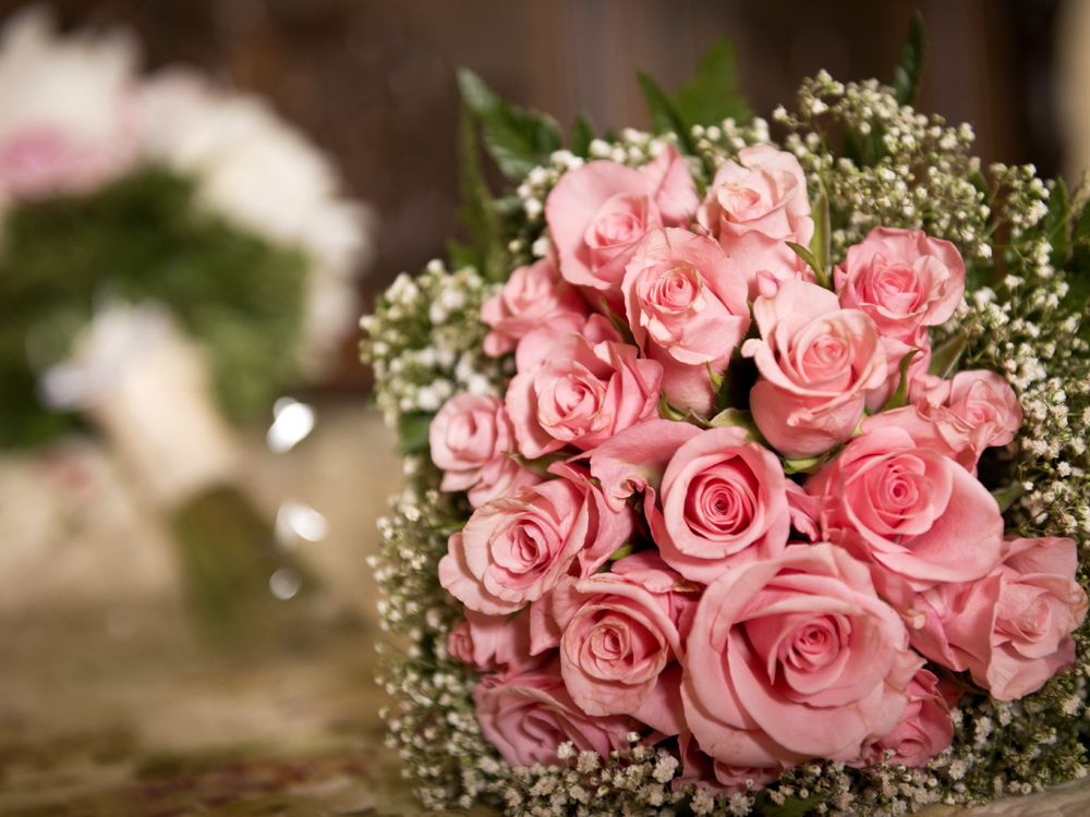 Обои на рабочий стол Букет розовых роз, в обрамлении мелких белых цветочков,  обои для рабочего стола, скачать обои, обои бесплатно