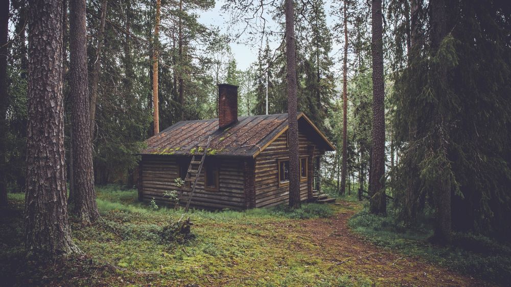 Деревянный дом в лесу - 72 фото