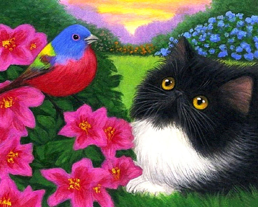 Обои для рабочего стола Черно- белый кот засмотрелся на птичку, сидящую на цветущем кусте. by B. Voth
