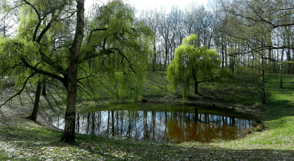 Обои для рабочего стола Небольшое озеро, окруженное деревьями в парке