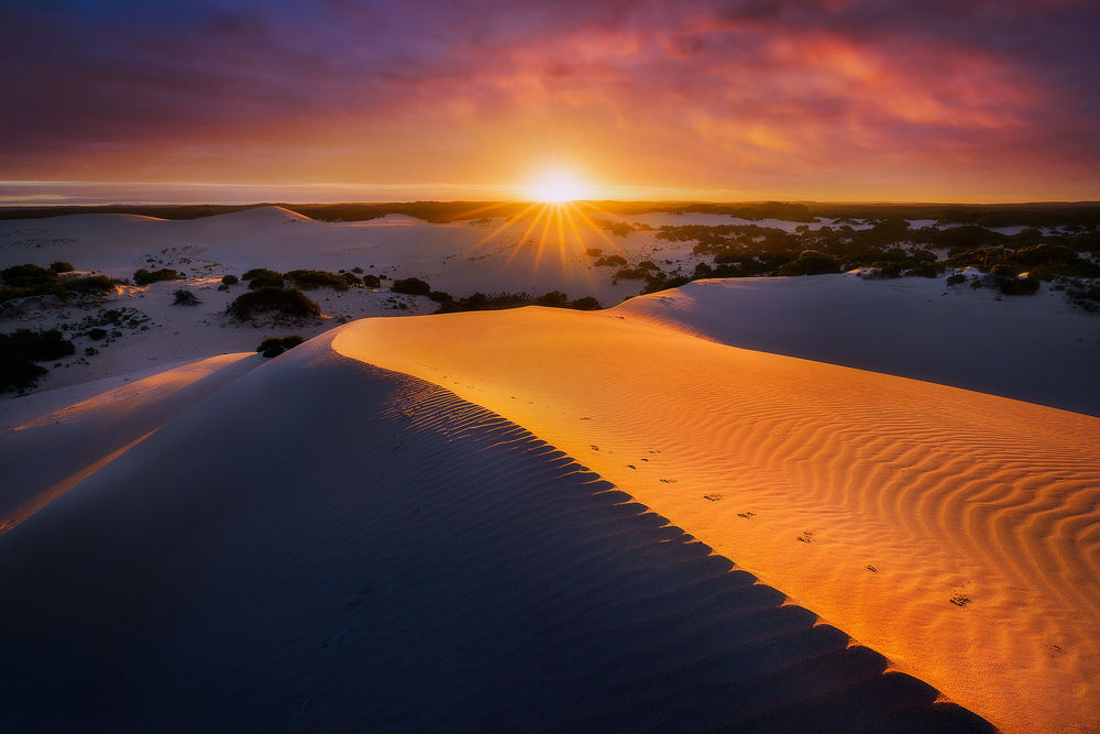 Обои для рабочего стола Little Sahara South Australia / Маленькая Сахара Южная Австралия, рассвет, фотограф Dylan Toh & Marianne Lim