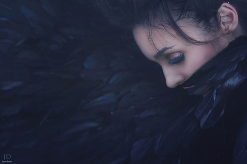 Обои на рабочий стол Лицо девушки окутано перьями, фотограф Jessica Drossin