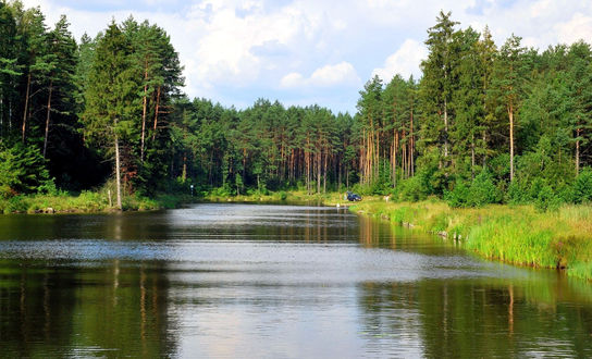 Обои на рабочий стол Водная гладь озера на фоне хвойного леса