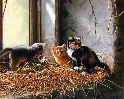 Обои на рабочий стол Три котенка играют у окна в кучке соломы, by Jerry Gadamus