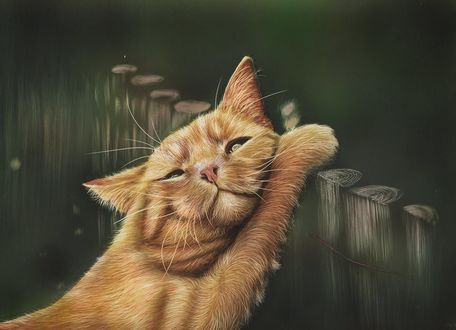 Обои на рабочий стол Рыжий кот положил лапу на забор, by shonechacko