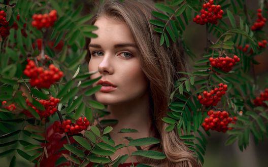 Обои на рабочий стол Модель Irina Regent / Ирина Регент среди веток рябины