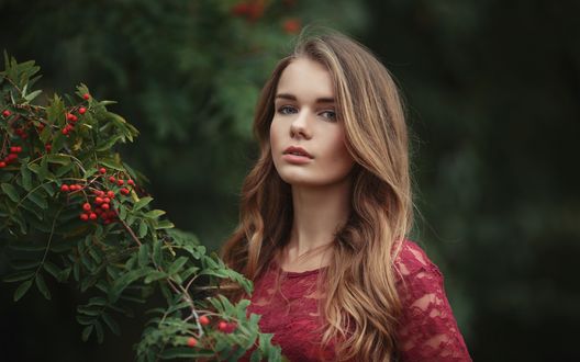 Обои на рабочий стол Модель Irina Regent / Ирина Регент рядом с рябиной