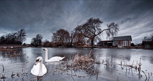 Обои на рабочий стол England, River Soar, Nottinghamshire / Англия, река Сор, Ноттингемшир, пара лебедей, дома и деревья на заднем плане, пасмурный осенний день, by Wilson Axpe
