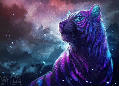 Обои на рабочий стол Разноцветный тигр, by Whiluna