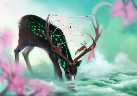 Обои на рабочий стол The Dream Catcher / Ловец снов, by Ka-Wo