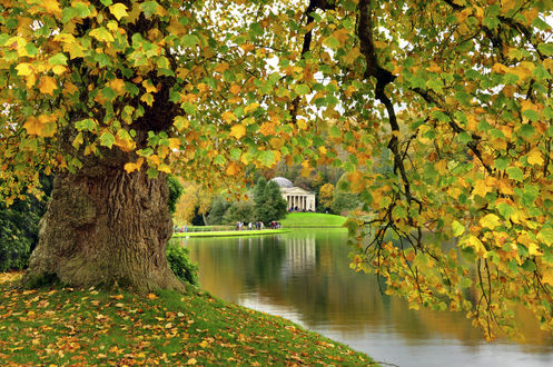 Обои на рабочий стол Stourhead, England / Сторхед, Англия, парк, пруд, павильон, осень