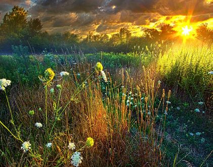 Обои на рабочий стол Закат солнца над полем, by Phil Koch