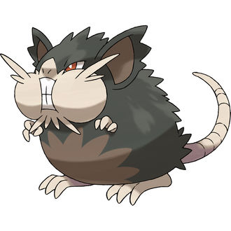 Обои на рабочий стол Raticate / Ратикэйт из аниме Pokemon / Покемон, by Oomura Yusuke