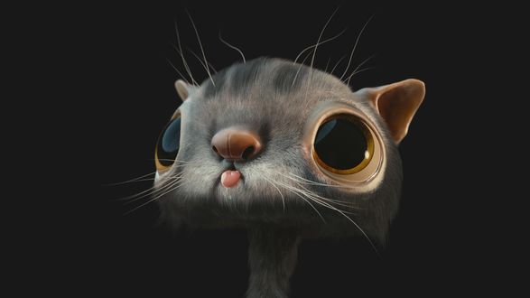 Обои на рабочий стол Прикольный котенок с высунутым язычком на черном фоне
