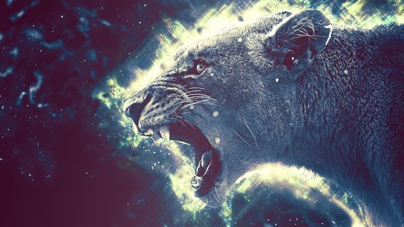 Обои на рабочий стол Рычащая львица на темном фоне