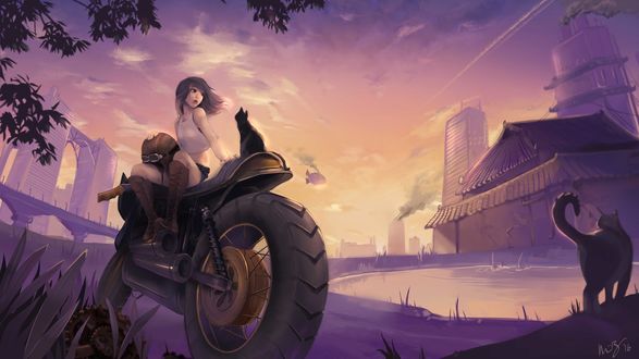 Обои на рабочий стол Девушка с котом сидят на мотоцикле, by Minnie Zhou