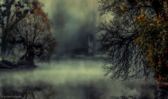 Обои на рабочий стол Раннее туманное утро на озере, фотограф Patrice Thomas