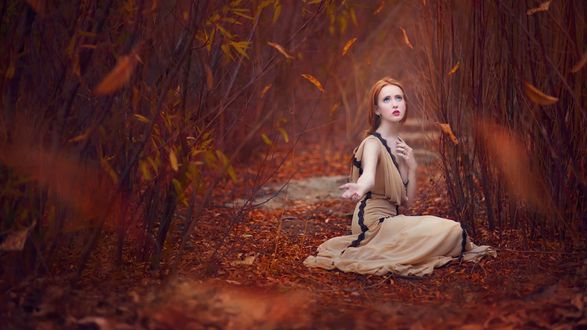 Обои на рабочий стол Девушка сидит под падающей осенней листвой, фотограф Jessica Drossin