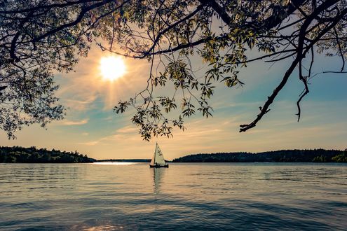 Обои на рабочий стол Парусник на воде на фоне веток дерева, неба и солнца