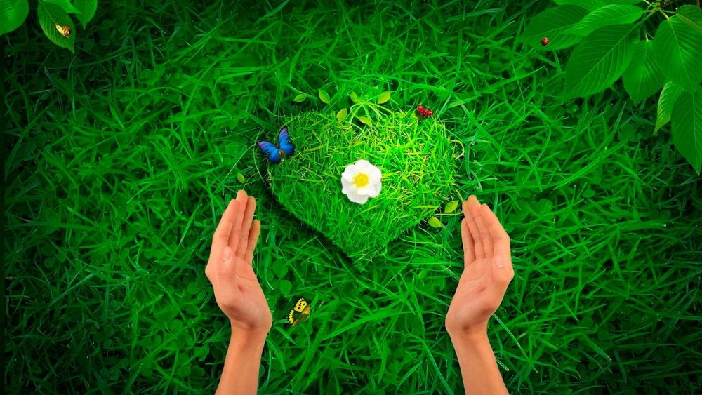 Обои для рабочего стола Руки протянуты к сердечку выложенному из зеленой травы, с цветком в середине и летающими над ним бабочками