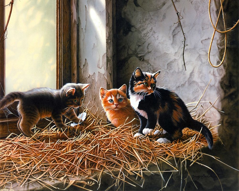 Обои для рабочего стола Три котенка играют у окна в кучке соломы, by Jerry Gadamus