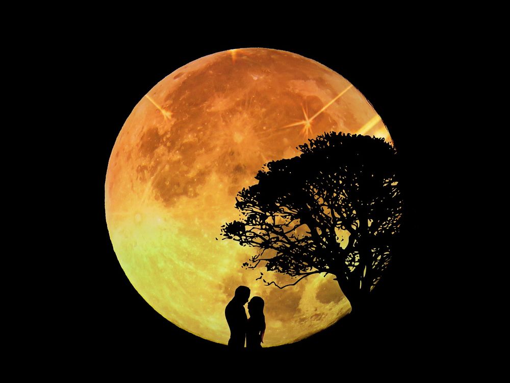 Обои для рабочего стола Силуэты влюбленных и одинокого дерева на фоне полной Луны и мрака ночи, by Cocoparisien
