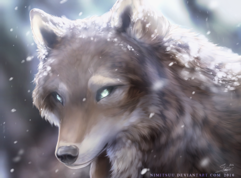 Обои для рабочего стола Волк под падающим снегом, by Nimitsuu