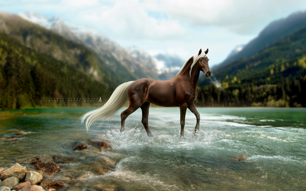 Обои для рабочего стола Фантастическая лошадь стоит в воде, by perfectperfection
