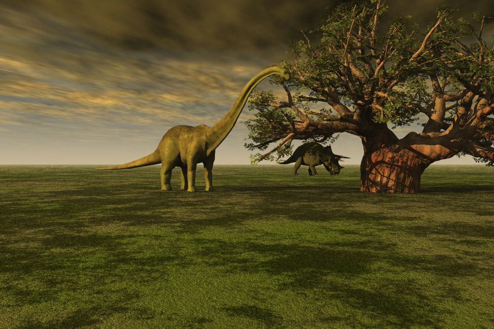 Обои для рабочего стола Доисторические животные на поле под большим деревом, by David Mark