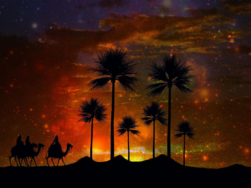 Обои для рабочего стола Караван верблюдов идет по пустыне на фоне пальм и ночного неба, by cocoparisienne
