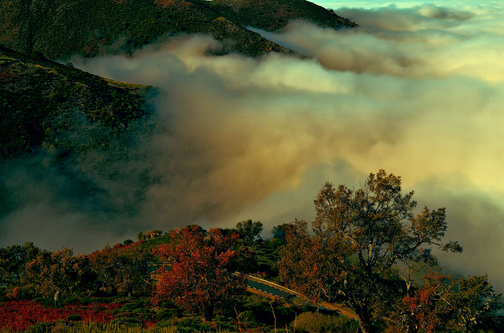 Обои для рабочего стола Дорога вдоль гор в облаках, фотограф Riki