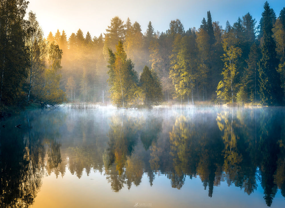 Обои для рабочего стола Forest pond on a beautiful morning at Aulanko Nature reserve, H&;meenlinna, Finland / Лесной пруд прекрасным утром в Aulanko -природный заповедник, Хямеенлинна, фотограф Lauri Lohi