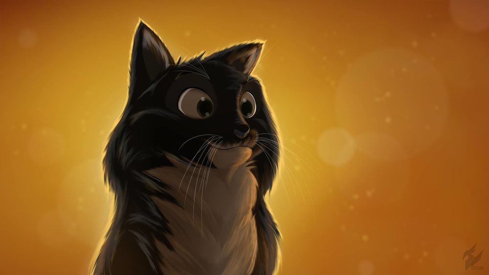 Обои для рабочего стола Кот на желтом фоне