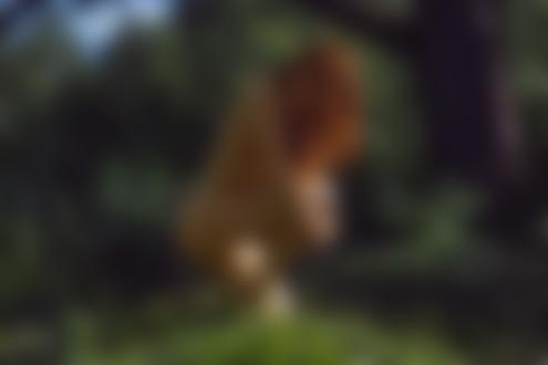 Обои на рабочий стол Обнаженная девушка преклонила колено на траве, фотограф Мочульский Леонид