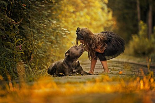 Обои на рабочий стол Девочка стоит перед своим псом, фотограф Luis Valadares