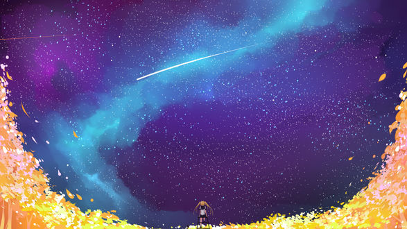 Обои на рабочий стол Девушка смотрит на ночное звездное небо, art by Pixiv Id 8236670