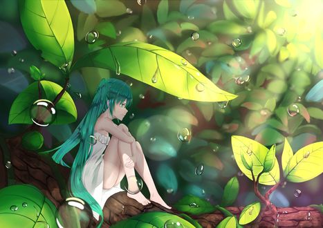 Обои на рабочий стол Хацунэ Мику / Hatsune Miku сидит на ветке дерева