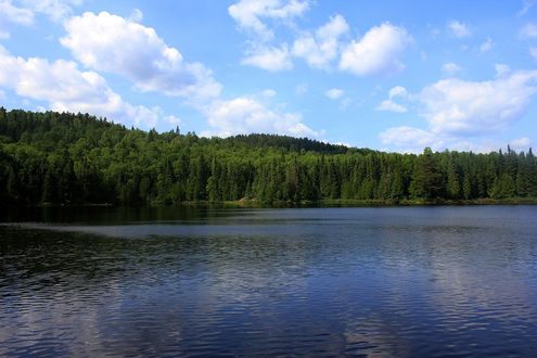 Обои на рабочий стол Вода озера на фоне хвойного леса и неба с облаками