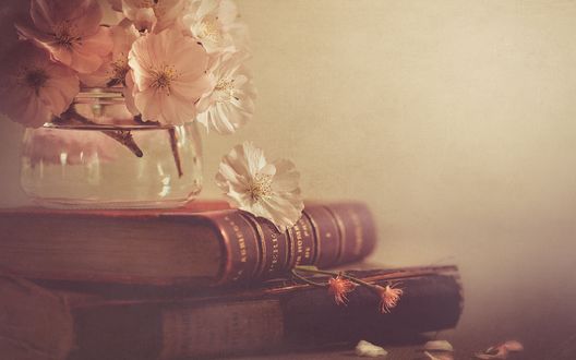 Обои на рабочий стол Банка с букетиком цветов стоит на стопке старых книг