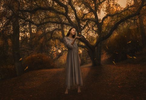 Обои на рабочий стол Девушка с осенним листком над рукой, фотограф Jessica Drossin