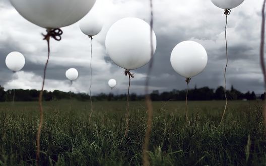 Обои на рабочий стол Много воздушных шаров в поле