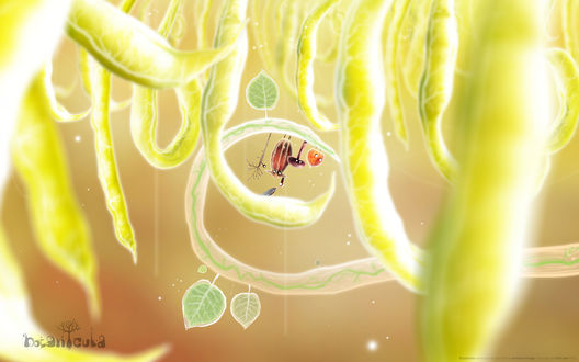 Обои на рабочий стол Арт из игры Botanicula