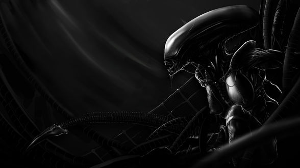 Обои на рабочий стол Чужой / Alien на черном фоне